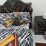Adem Cozy Home